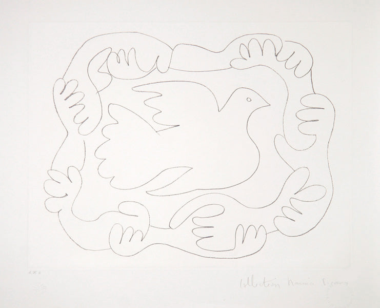 Pablo Picasso, Etudes de Mains et Colombe, 51-D, Lithograph on Arches Paper