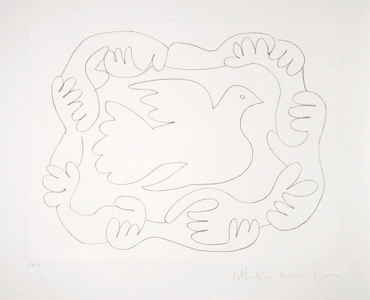 Pablo Picasso, Etudes de Mains et Colombe, 51-D, Lithograph on Arches Paper