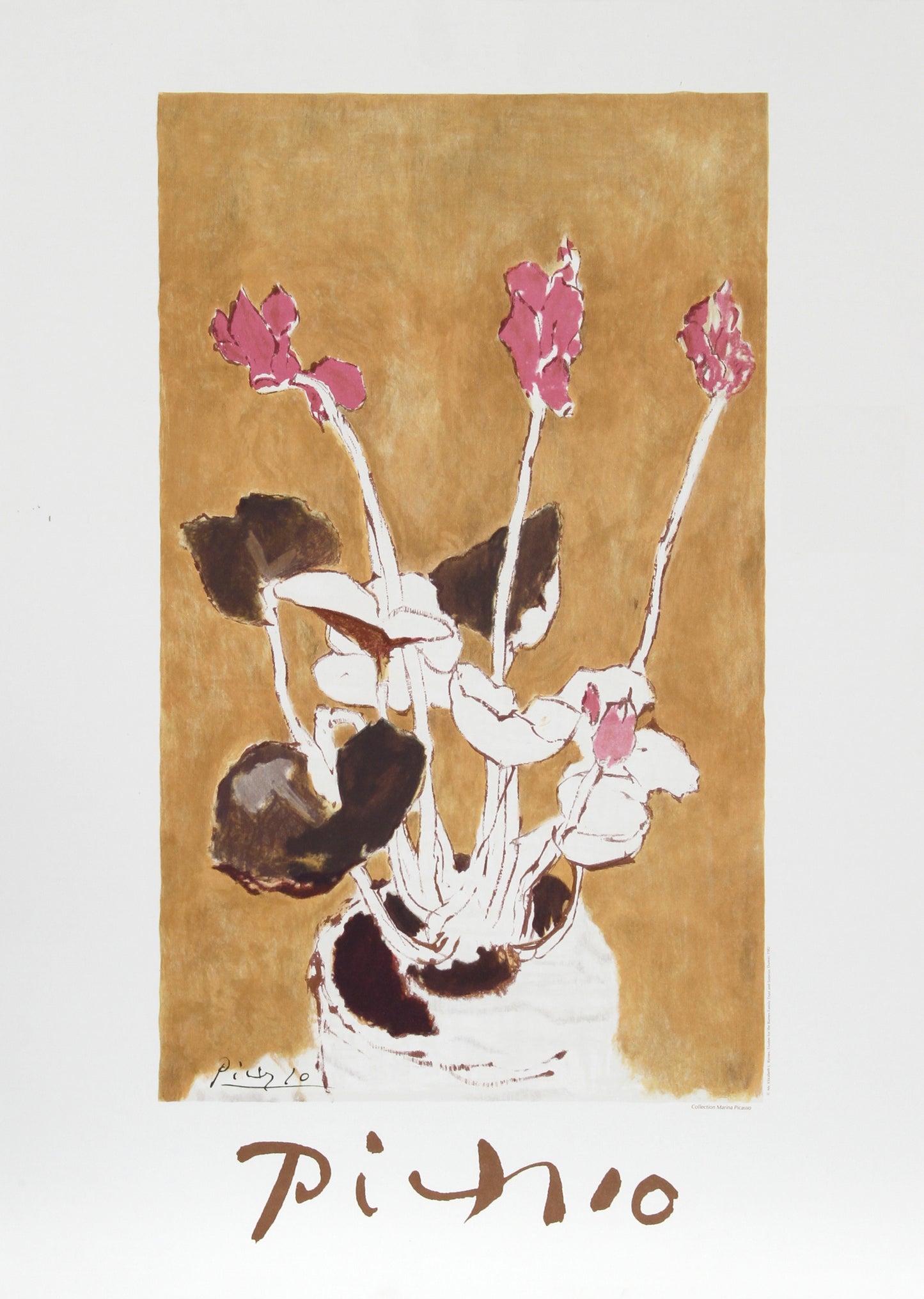 Les Cyclamens by Pablo Picasso
