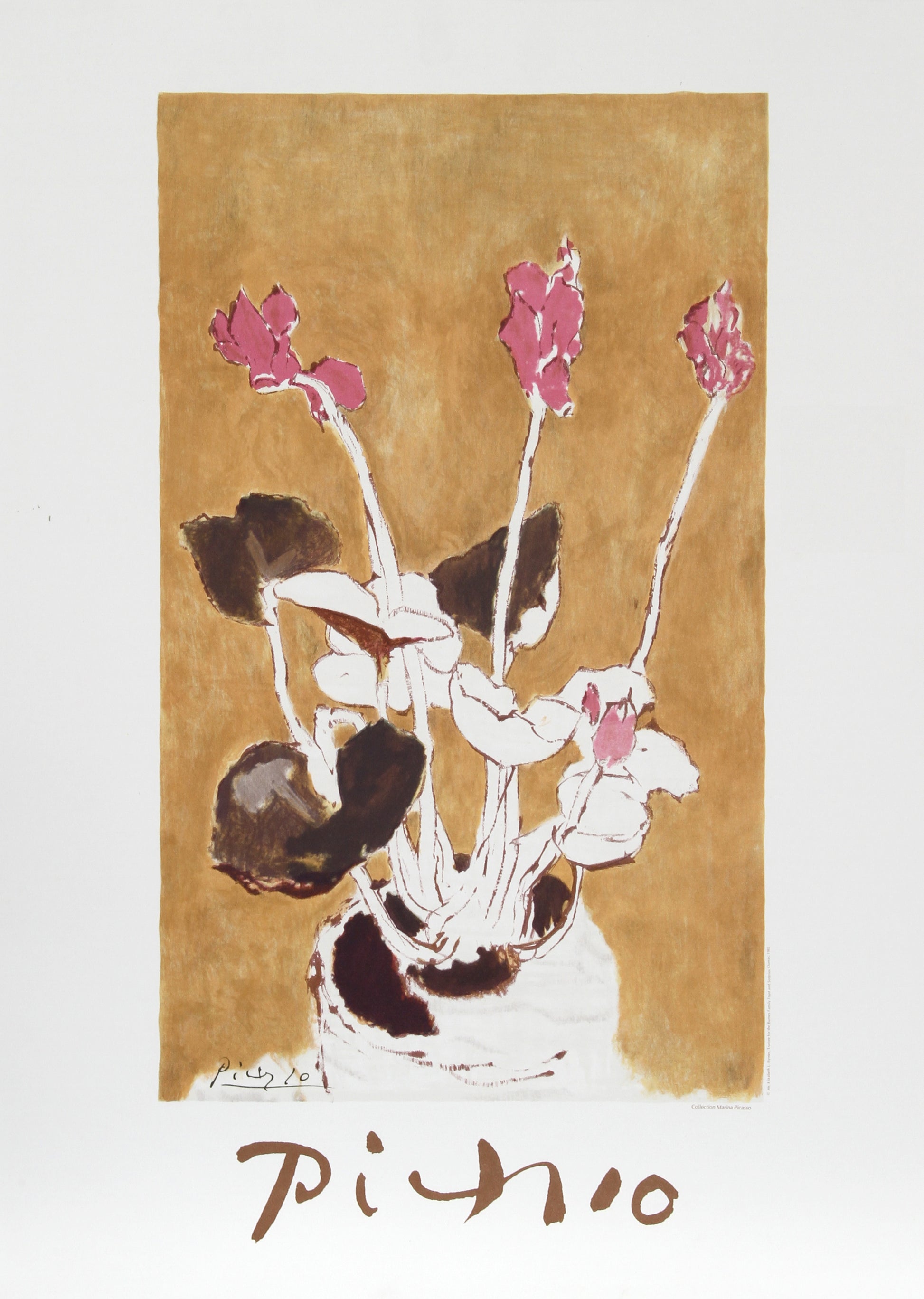 Les Cyclamens by Pablo Picasso