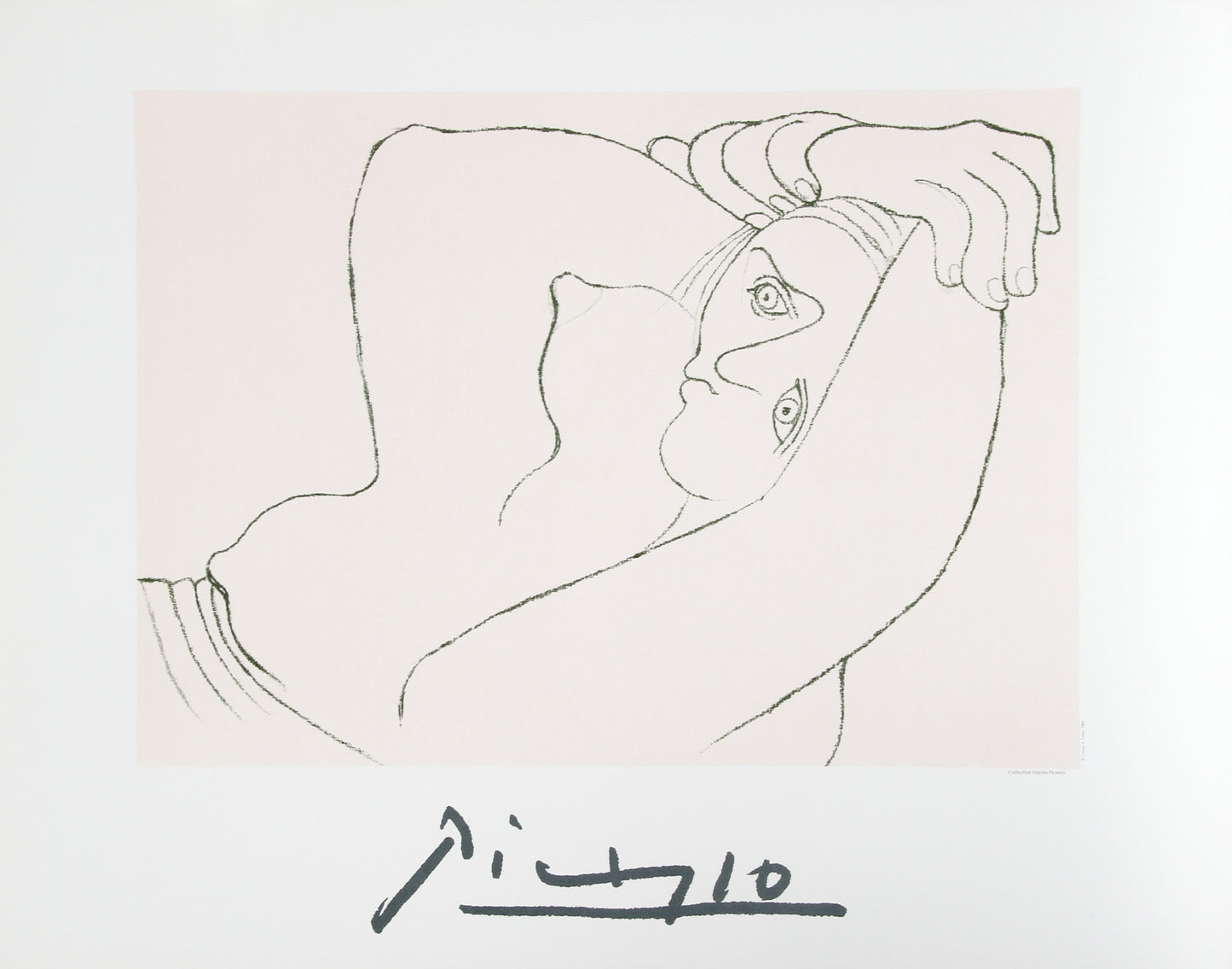 Femme Couchee by Pablo Picasso