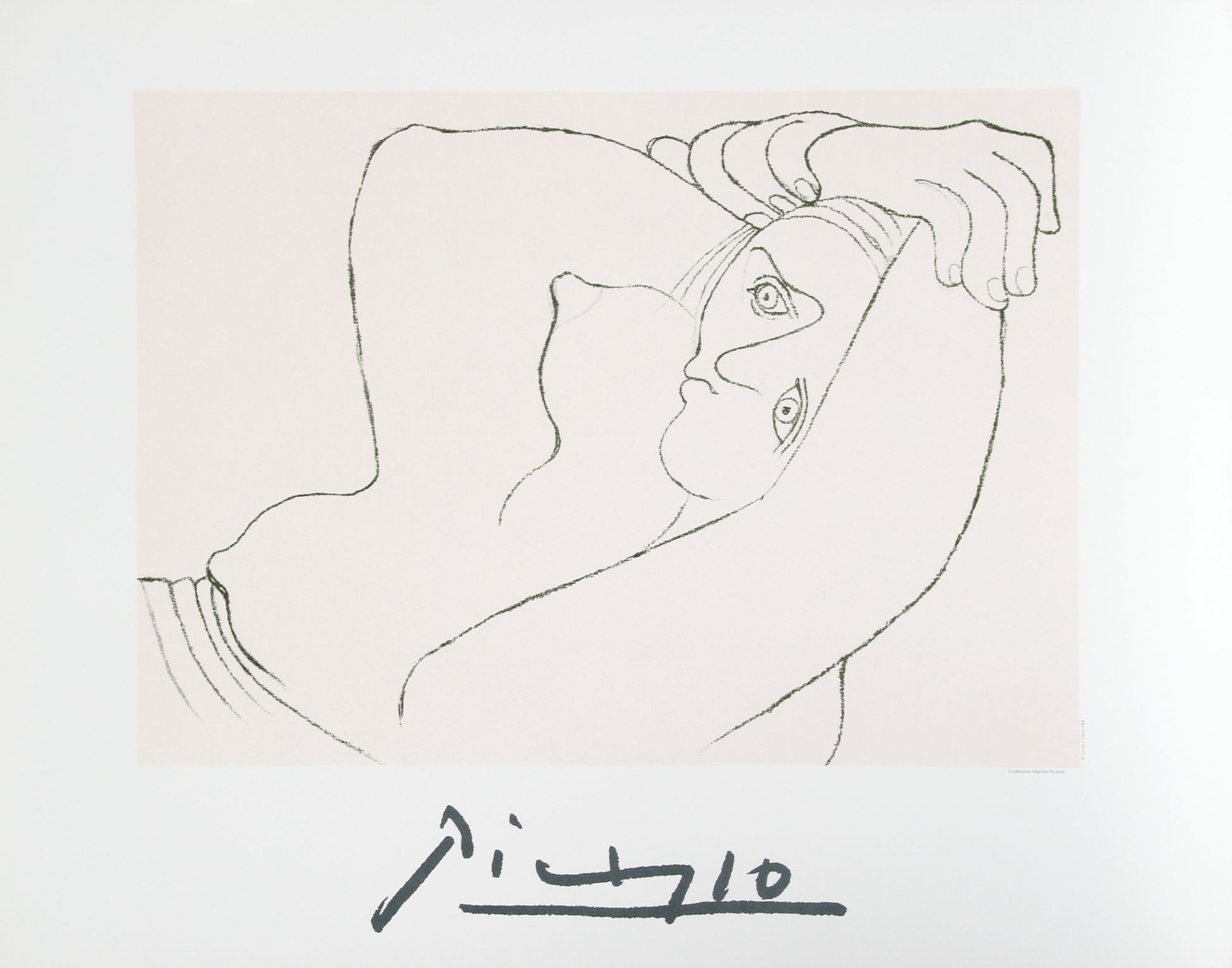 Femme Couchee by Pablo Picasso