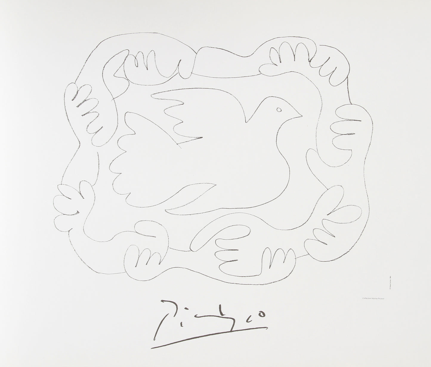 Etude de Mains et Colombe by Pablo Picasso