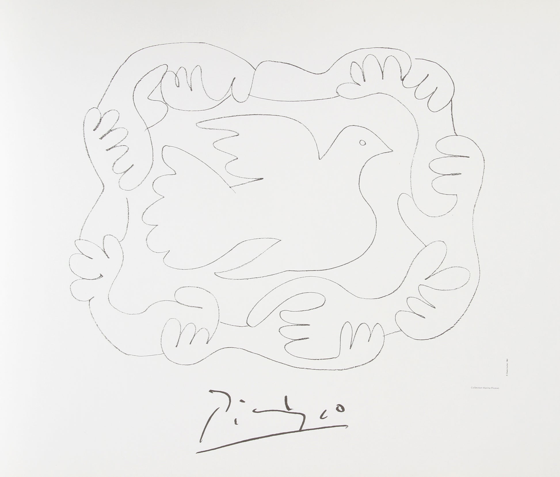 Etude de Mains et Colombe by Pablo Picasso