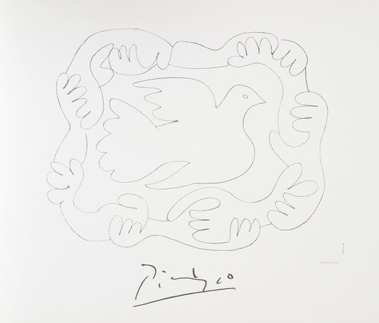 Etude de Mains et Colombe by Pablo Picasso