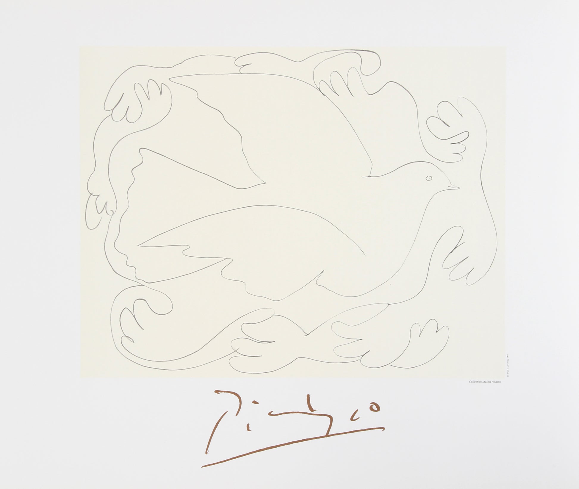 Pablo Picasso, Etudes de Mains et Colombe, 25-2-k, Lithograph