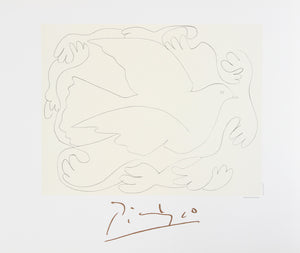 Pablo Picasso, Etudes de Mains et Colombe, 25-2-k, Lithograph